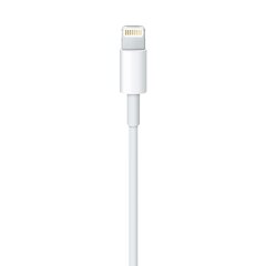 Apple Lightning - USB kaina ir informacija | Laidai telefonams | pigu.lt