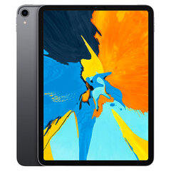 iPad Pro 11" 1, 64GB, WiFi + Cellular, серый (подержанный, состояние A) цена и информация | Планшеты | pigu.lt