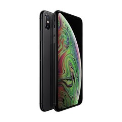 iPhone XS Max, 64GB, серый (подержанный, состояние A) цена и информация | Мобильные телефоны | pigu.lt