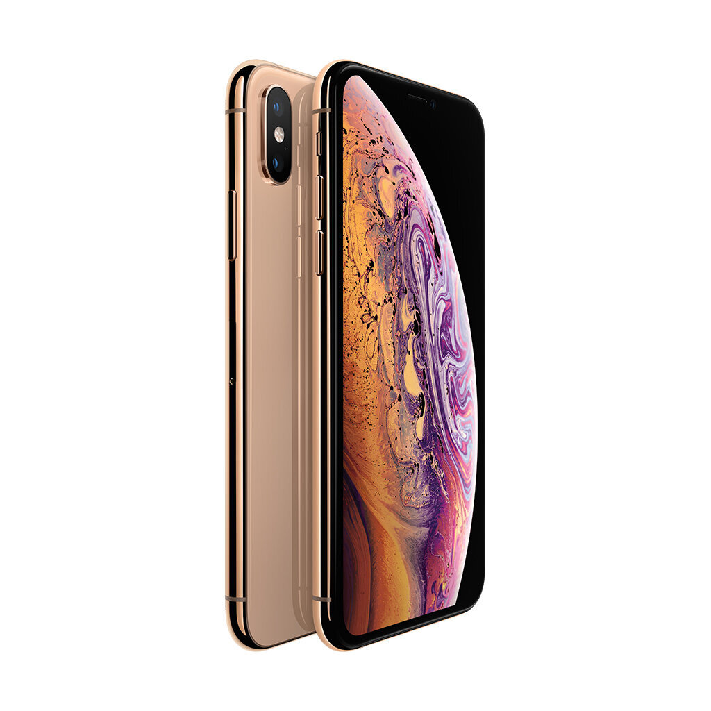 iPhone XS 64GB Gold (atnaujintas, būklė A) kaina ir informacija | Mobilieji telefonai | pigu.lt