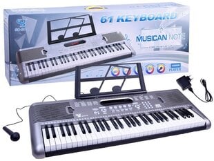Детский синтезатор с микрофоном - SD-6118, серебристый цена и информация | Развивающие игрушки | pigu.lt