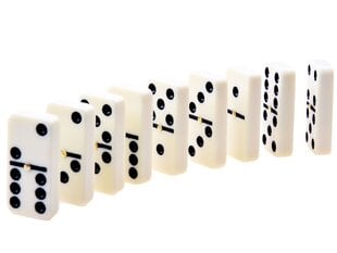 Edukacinis žaidimas - Domino kaina ir informacija | Lavinamieji žaislai | pigu.lt