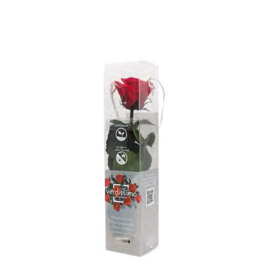 Mieganti rožė Trinity, geltona, 30x19 cm, graviruota цена и информация | Miegančios rožės, stabilizuoti augalai | pigu.lt