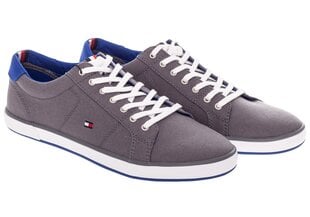 Мужская Обувь Кроссовки Tommy Hilfiger Harlow 1D Серый FM0FM00596 039 17661 цена и информация | Кроссовки для мужчин | pigu.lt