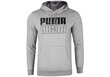 Džemperis vyrams Puma Power Hoodie 589409 03 38143, pilkas kaina ir informacija | Sportinė apranga vyrams | pigu.lt
