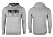 Džemperis vyrams Puma Power Hoodie 589409 03 38143, pilkas цена и информация | Sportinė apranga vyrams | pigu.lt