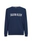 Vyriški marškinėliai Calvin Klein SWEATSHIRT L/S, tamsiai mėlyni 000NM1960E 8SB 42544 kaina ir informacija | Vyriški marškinėliai | pigu.lt