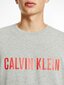 Vyriški marškinėliai Calvin Klein SWEATSHIRT L/S, pilki 000NM1960E W6K 42839 цена и информация | Vyriški marškinėliai | pigu.lt