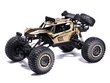 RC mašinėlė su pultu Rock Crawler Metal 1:8 2.4GHZ цена и информация | Žaislai berniukams | pigu.lt