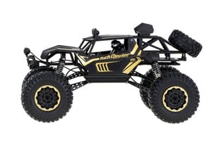 RC машинка с дистанционным управлением Rock Crawler Metal 1:8 2.4ГГЦ цена и информация | Игрушки для мальчиков | pigu.lt