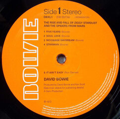 Виниловая пластинка David Bowie - The Rise And Fall Of Ziggy Stardust And The Spiders From Mars, LP, 12" vinyl record цена и информация | Виниловые пластинки, CD, DVD | pigu.lt