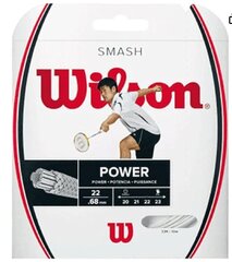 Badmintono stygos Wilson Smash 66, baltos kaina ir informacija | Lauko teniso prekės | pigu.lt