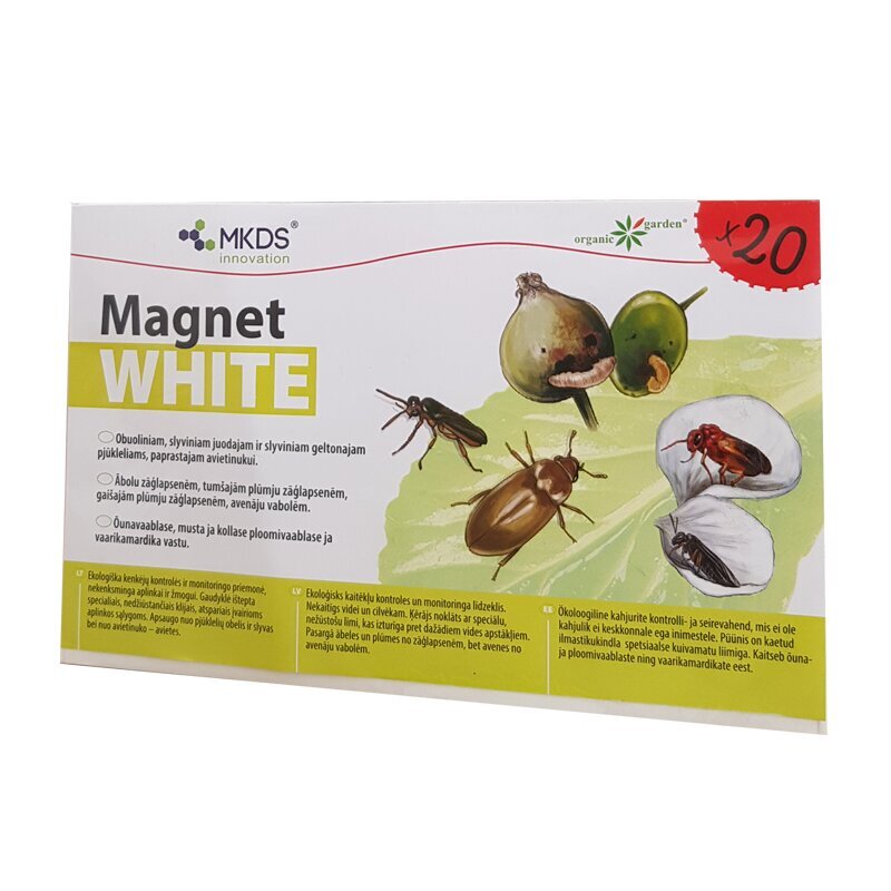 Mini MAGNET white (20X12 cm) – obuolinių ir slyvinių pjūklelių, paprastųjų avietinukų gaudyklės, 20 vnt kaina ir informacija | Augalų priežiūros priemonės | pigu.lt