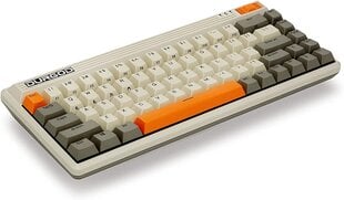 Беспроводная клавиатура Durgod Fusion Original, Cherry MX Speed Silver, US, Белый | Коричневый цвет цена и информация | Клавиатуры | pigu.lt
