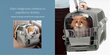 Boksas - transportavimo dėžė Catit Pet Cabrio mėlynas цена и информация | Transportavimo narvai, krepšiai | pigu.lt