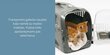 Boksas - transportavimo dėžė Catit Pet Cabrio mėlynas цена и информация | Transportavimo narvai, krepšiai | pigu.lt