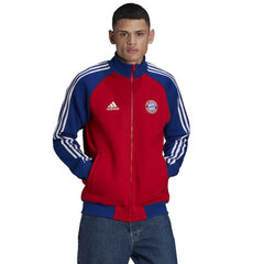 Adidas Джемпер Ent22 Hoody Green HI2141 цена и информация | Мужские толстовки | pigu.lt