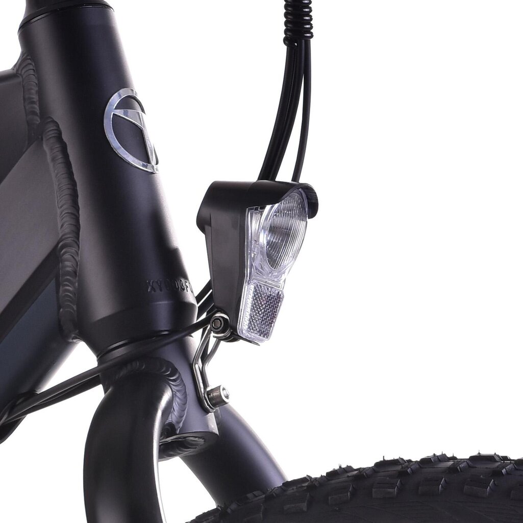 Elektrinis dviratis FitNord Rumble 300 (690 Wh baterija), 42 cm rėmas kaina ir informacija | Elektriniai dviračiai | pigu.lt