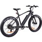 Elektrinis dviratis FitNord Rumble 300 (690 Wh baterija), 42 cm rėmas kaina ir informacija | Elektriniai dviračiai | pigu.lt