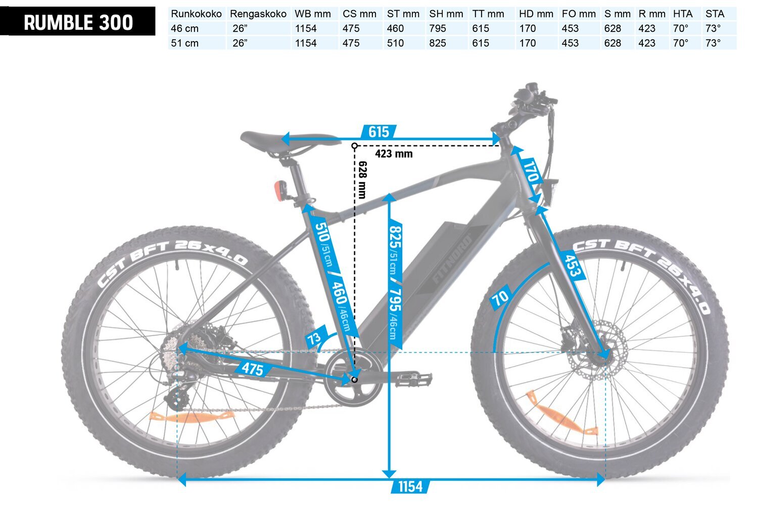 Elektrinis dviratis FitNord Rumble 300 (690 Wh baterija), 42 cm rėmas kaina ir informacija | Elektriniai dviračiai | pigu.lt