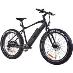 Elektrinis dviratis FitNord Rumble 300 (690 Wh baterija), 46 cm rėmas kaina ir informacija | Elektriniai dviračiai | pigu.lt