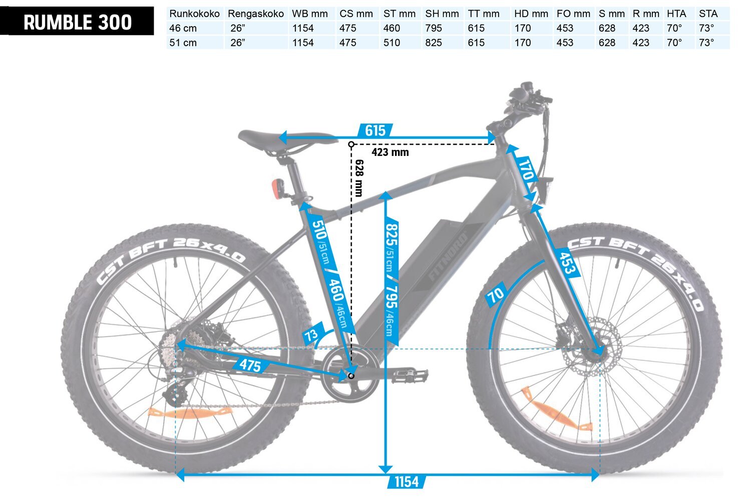 Elektrinis dviratis FitNord Rumble 300 (690 Wh baterija), 46 cm rėmas kaina ir informacija | Elektriniai dviračiai | pigu.lt