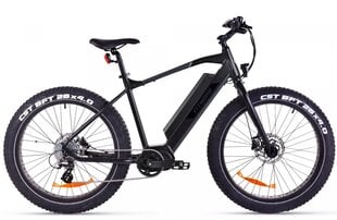 Elektrinis dviratis FitNord Rumble 500 (690 Wh baterija), 42 cm rėmas kaina ir informacija | Elektriniai dviračiai | pigu.lt