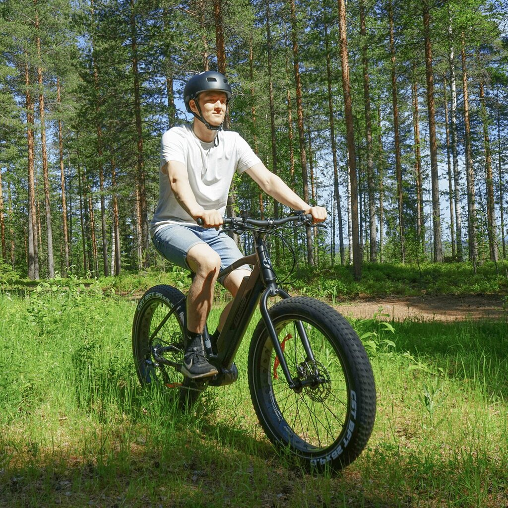Elektrinis dviratis FitNord Rumble 500 (690 Wh baterija), 46 cm rėmas kaina ir informacija | Elektriniai dviračiai | pigu.lt