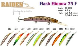 Vobleris Akara Raiden Flash Minnow 75 F kaina ir informacija | Vobleriai, masalai, blizgės | pigu.lt