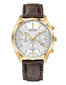 Laikrodis vyrams Claude Bernard 10246 цена и информация | Vyriški laikrodžiai | pigu.lt