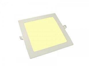 LED светильник Tyloo 24Вт 4000-4500K  цена и информация | Монтируемые светильники, светодиодные панели | pigu.lt