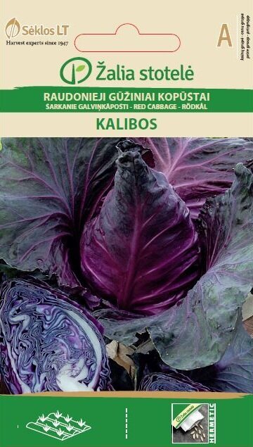 Raudonieji gūžiniai kopūstai Kalibos kaina ir informacija | Daržovių, uogų sėklos | pigu.lt