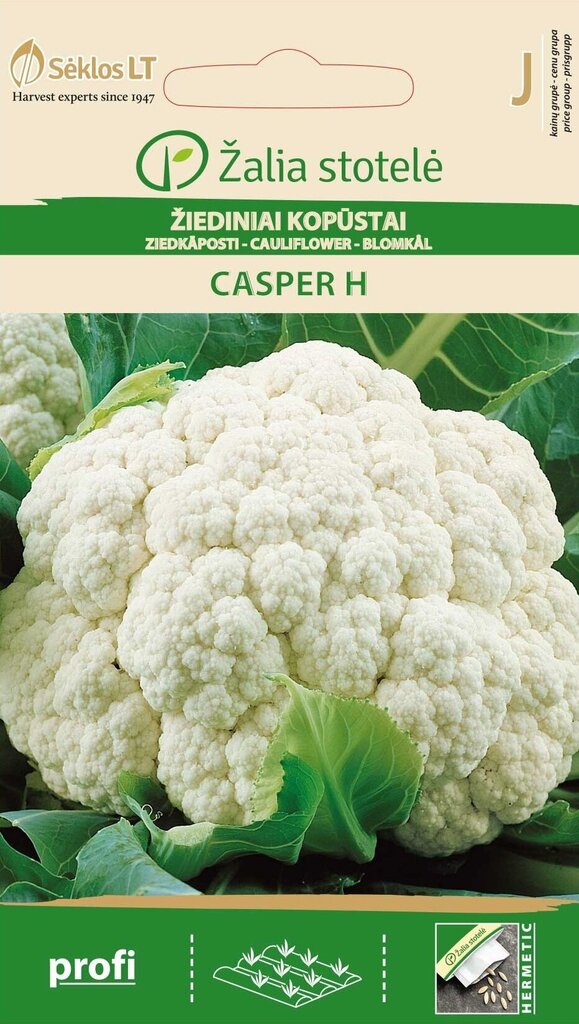 Žiediniai kopūstai Casper H kaina ir informacija | Daržovių, uogų sėklos | pigu.lt