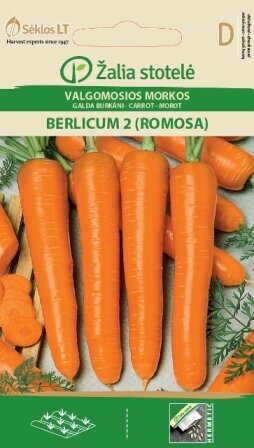 Valgomosios morkos Berlicum 2 Romosa kaina ir informacija | Daržovių, uogų sėklos | pigu.lt