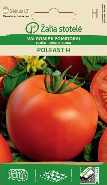 Valgomieji pomidorai Polfast H цена и информация | Daržovių, uogų sėklos | pigu.lt