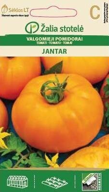 Valgomieji pomidorai Jantar kaina ir informacija | Daržovių, uogų sėklos | pigu.lt