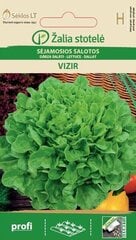 Sėjamosios salotos Vizir kaina ir informacija | Daržovių, uogų sėklos | pigu.lt
