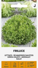 Sėjamosios salotos Frillice kaina ir informacija | Daržovių, uogų sėklos | pigu.lt
