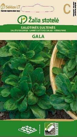 Salotinės Sultenės Gala цена и информация | Daržovių, uogų sėklos | pigu.lt