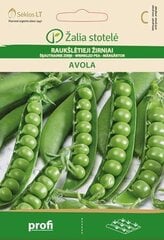 Raukšlėtieji žirniai Avola цена и информация | Семена овощей, ягод | pigu.lt