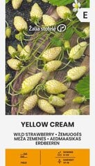 Žemuogės Yellow Cream kaina ir informacija | Daržovių, uogų sėklos | pigu.lt