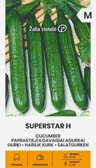 Paprastieji ilgavaisiai agurkai Superstar H цена и информация | Семена овощей, ягод | pigu.lt