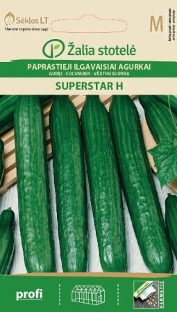Paprastieji ilgavaisiai agurkai Superstar H kaina ir informacija | Daržovių, uogų sėklos | pigu.lt