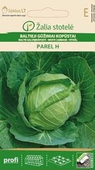 Baltieji gūžiniai kopūstai Parel H цена и информация | Семена овощей, ягод | pigu.lt
