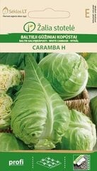 Baltieji gūžiniai kopūstai Caramba H kaina ir informacija | Daržovių, uogų sėklos | pigu.lt