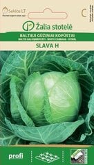 Baltieji gūžiniai kopūstai Slava H kaina ir informacija | Daržovių, uogų sėklos | pigu.lt