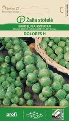 Briuselio kopūstai Dolores H цена и информация | Семена овощей, ягод | pigu.lt