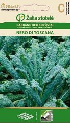 Garbanotieji kopūstai Nero Di Toscana kaina ir informacija | Daržovių, uogų sėklos | pigu.lt