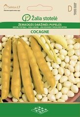 Žemaūgės daržinės pupelės Cocagne цена и информация | Семена овощей, ягод | pigu.lt