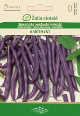 Žemaūgės držinės pupelės Amethyst цена и информация | Семена овощей, ягод | pigu.lt